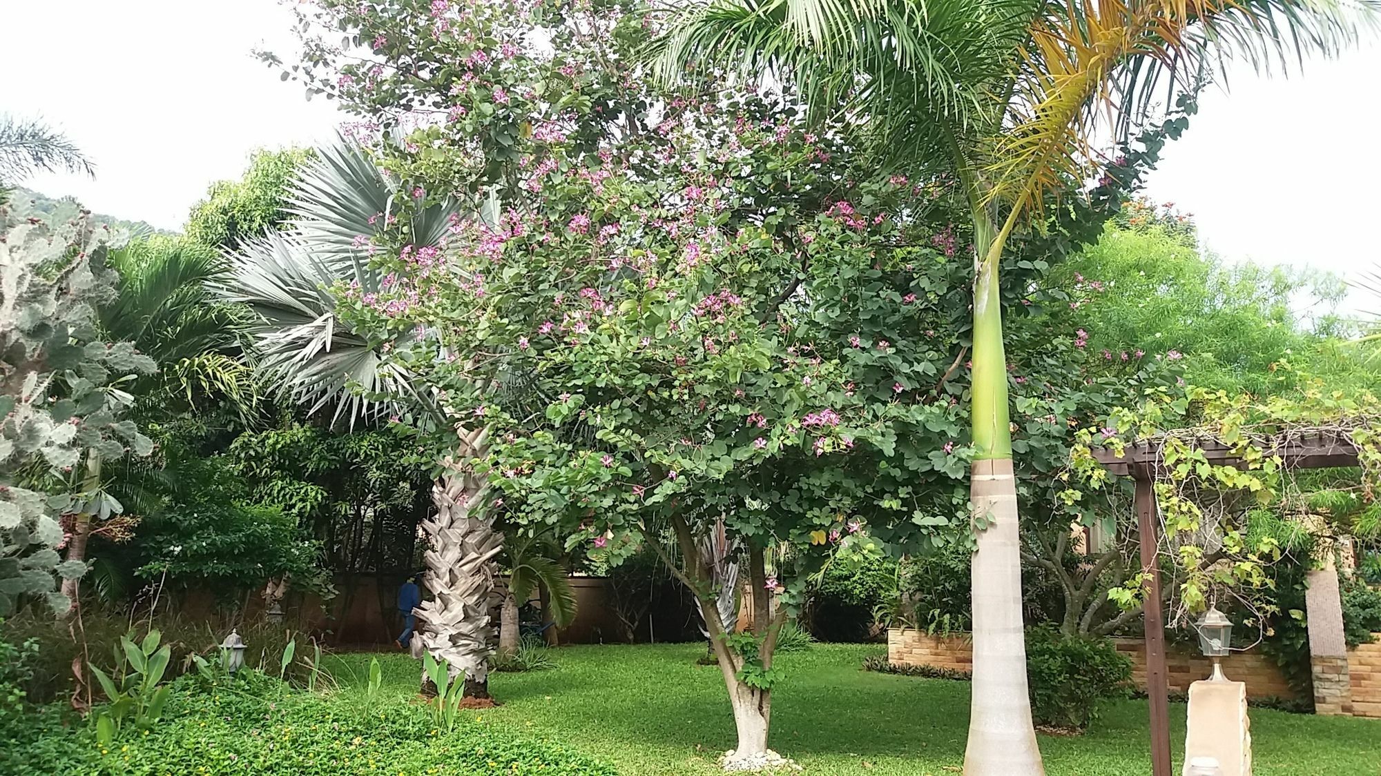 Malee Garden Villa Pran Buri Ngoại thất bức ảnh